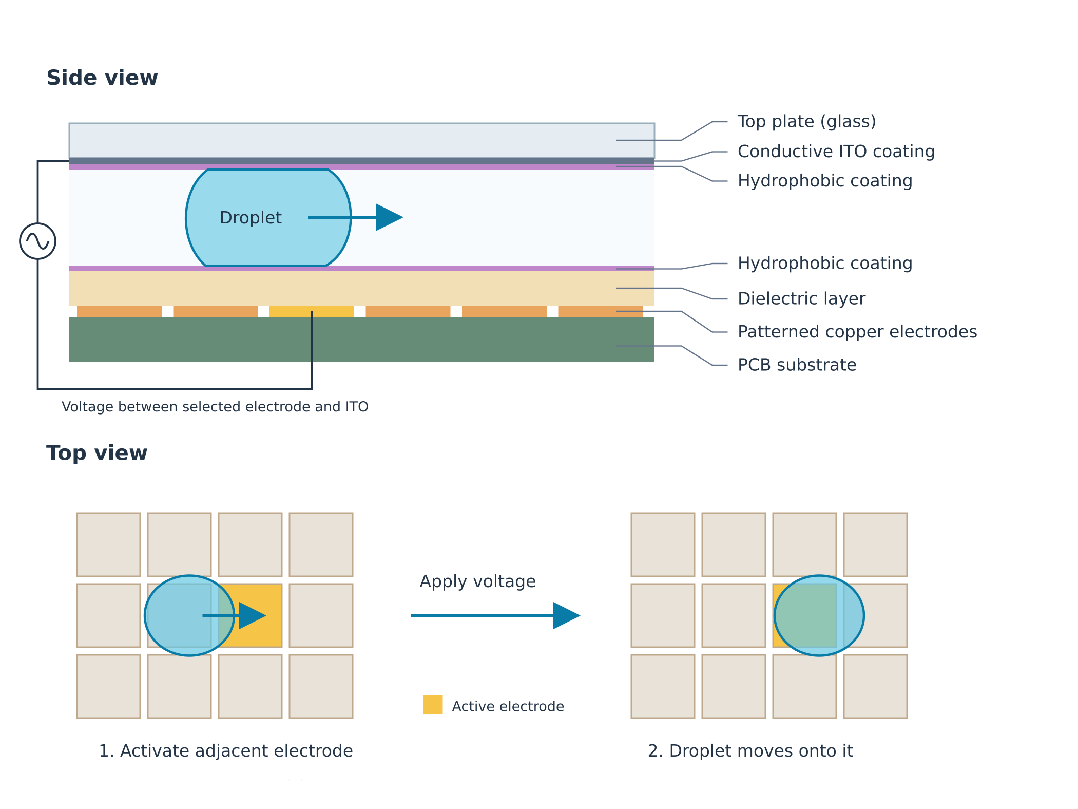 Electrowetting Diagram